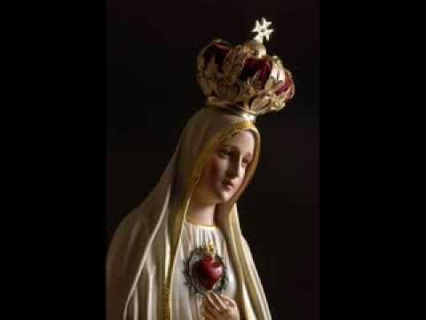 mary-immaculate,-star-of-the-morning