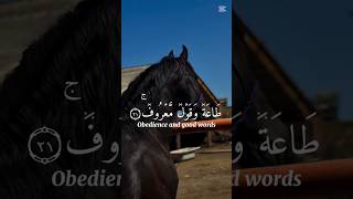 Surah Muhammad 47:21,24 | Al-Quran | Recitation | Thilawathquran@ThilawathQuran #quranrecitation