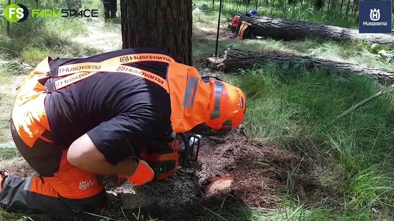 Laat val 'n boom met 'n Husqvarna Battery Kettingsaag