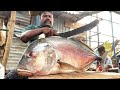 Kasimedu selvam fish cutting   kasimedu speed selvam fish cutting  uk sons marine