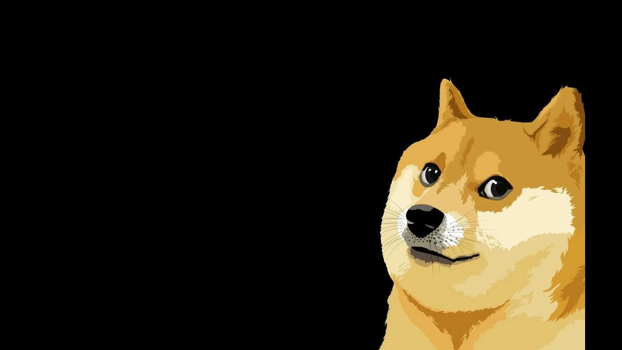 Фон на телефон мем собака с яблоком DOGECOIN SONG - YouTube