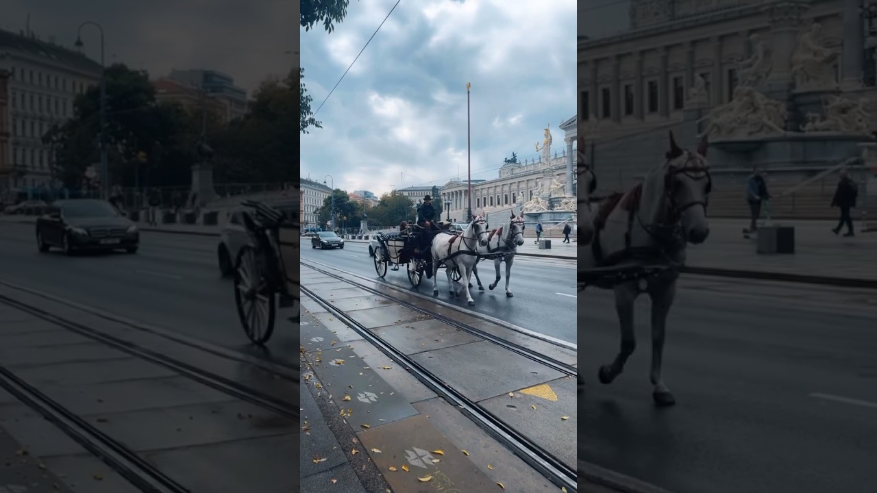 Living in Vienna is a dream ✨ 