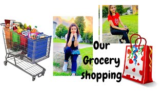 Vlog #3 | Our Grocery shopping | Food Basics |