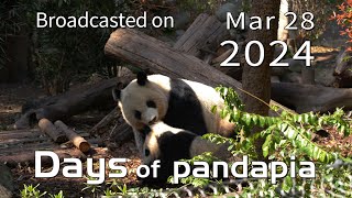 20240328 Broadcast Top Highlights 04 by pandapia HD 495 views 2 weeks ago 2 minutes, 18 seconds
