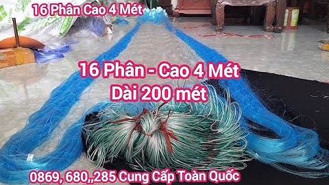 Lưới Đánh Cá 3 Màn Thái Lan 16 Phân Cao 4 Mét Cung Cấp Toàn Quốc Làm Theo yêu cầu