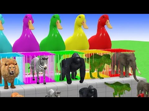 Long Slide Game With Buffalo Elephant Gorilla Hippopotamus Tiger 3d Animal Game Funny 3d Animals