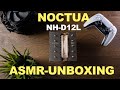 Noctua NH-D12L (ASMR Unboxing) - Noctuas neuster CPU-Kühler Part 1/2