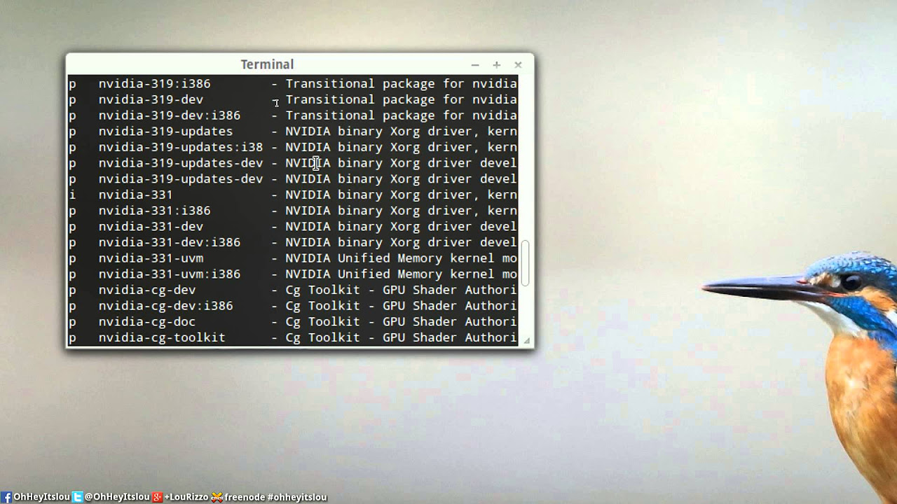 LinuxMintまたはUbuntuに独自のビデオドライバーをインストールする