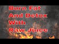 Raw Fountain 3-Day Detox Cleanse Reviewed