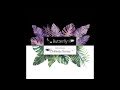 Danny Darko - Butterfly (Chillestix Remix)