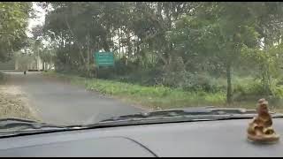 বাঘ ওলাইছে বাঘ. Tiger roaming in public areas in Jorhat, Assam. Part-1