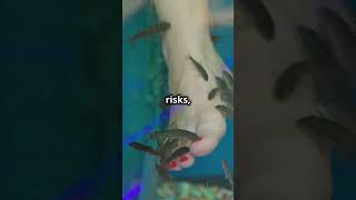 Fish Pedicures 🐟✨ Relaxing or Risky?  EXPLAINED