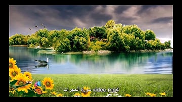 سورة الحجرات - صوت جميل - تلاوة رائعة - قران كريم