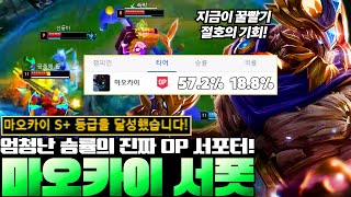 '평균 승률 57%' 미친 밸류로 밸런스 박살낸 14시즌 마오카이 서폿 룬/템트리 AtoZ 총 정리! [서폿 강의][마오카이 강의]