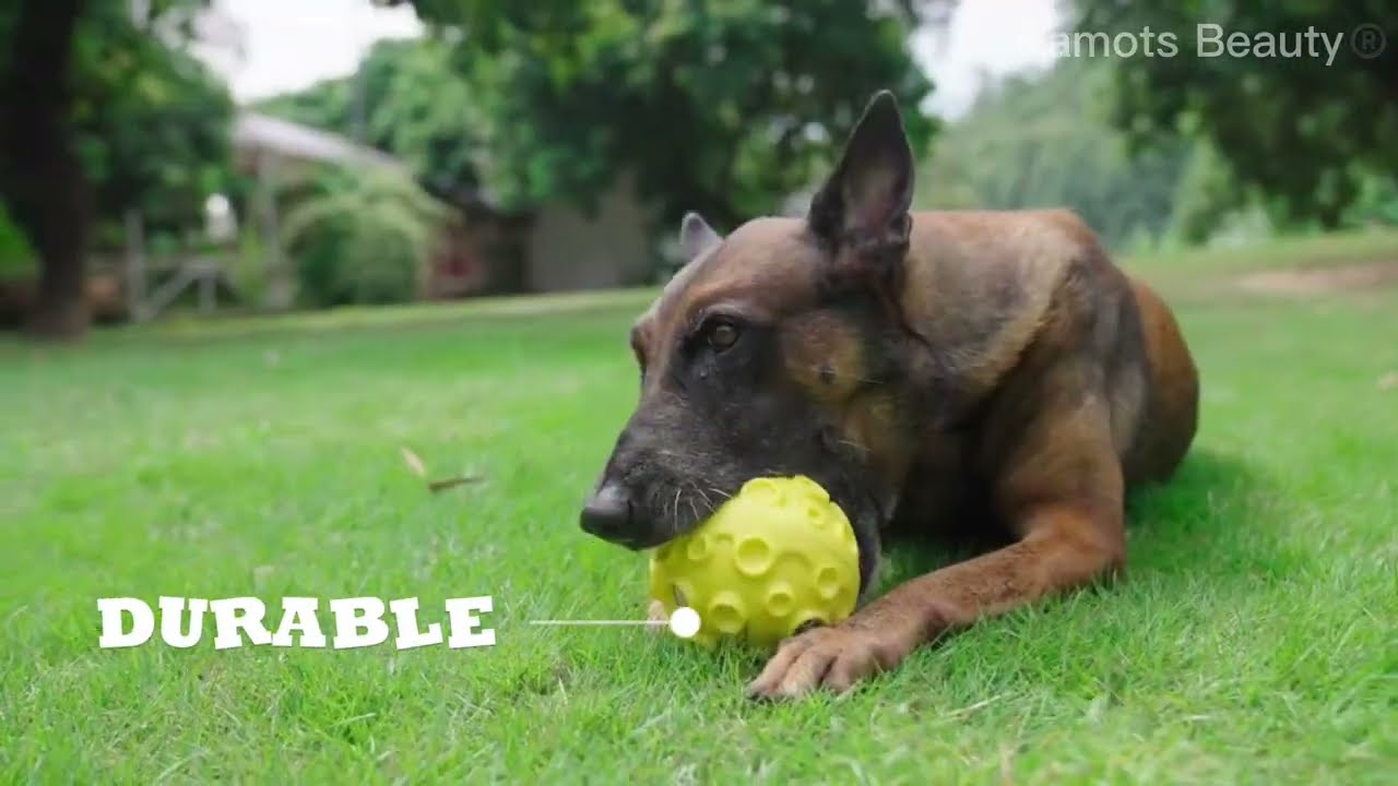 Dog Durables Queaky Toys with Rolling, Safe & Non-Toxic Dog Chewable Ball for All Dog Breed