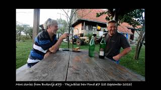 More stories from Bukovlje #87  The last video of the last dew pond