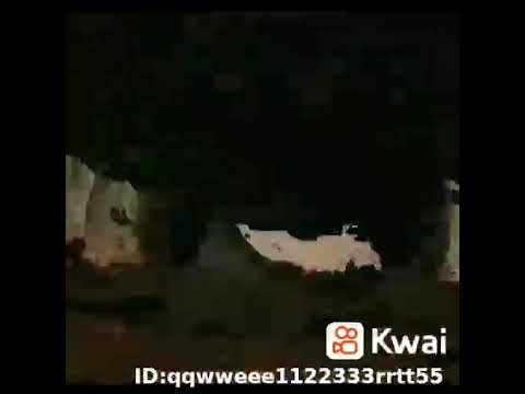 اشرب واسكت وارضى يا قلبي بمر الكاس
