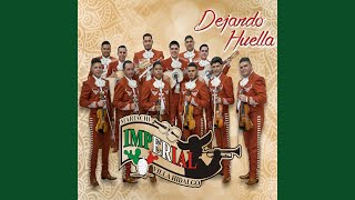 Video thumbnail of "MARIACHI IMPERIAL VILLA HIDALGO - Para Mi Viejo"