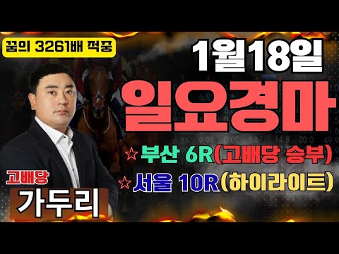1월18일 일요일 부산경마 6경주 서울경마 10경주 때립니다!!!