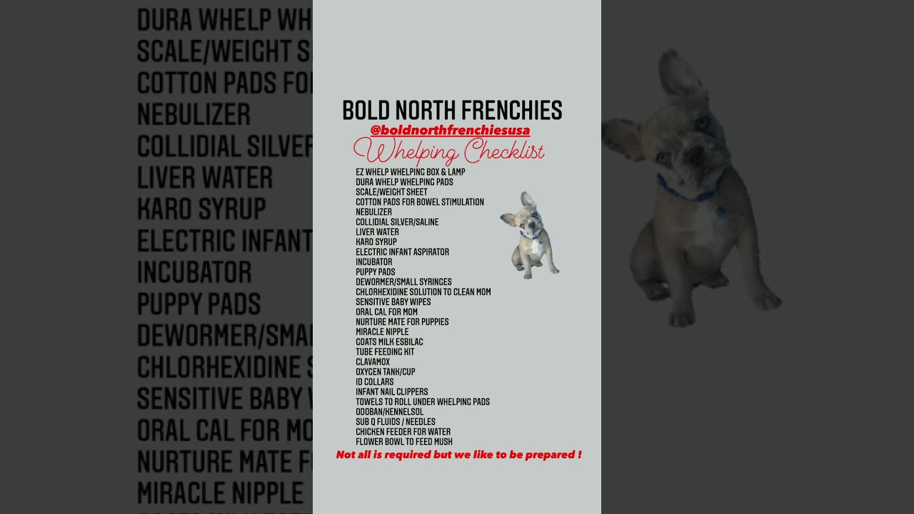 French Bulldog Puppies Whelping Checklist! 
