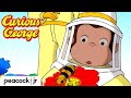 George the Beekeeper 🐝 | CURIOUS GEORGE