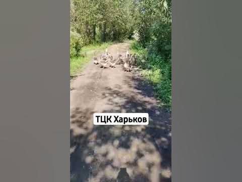 ТЦК Харьков - YouTube