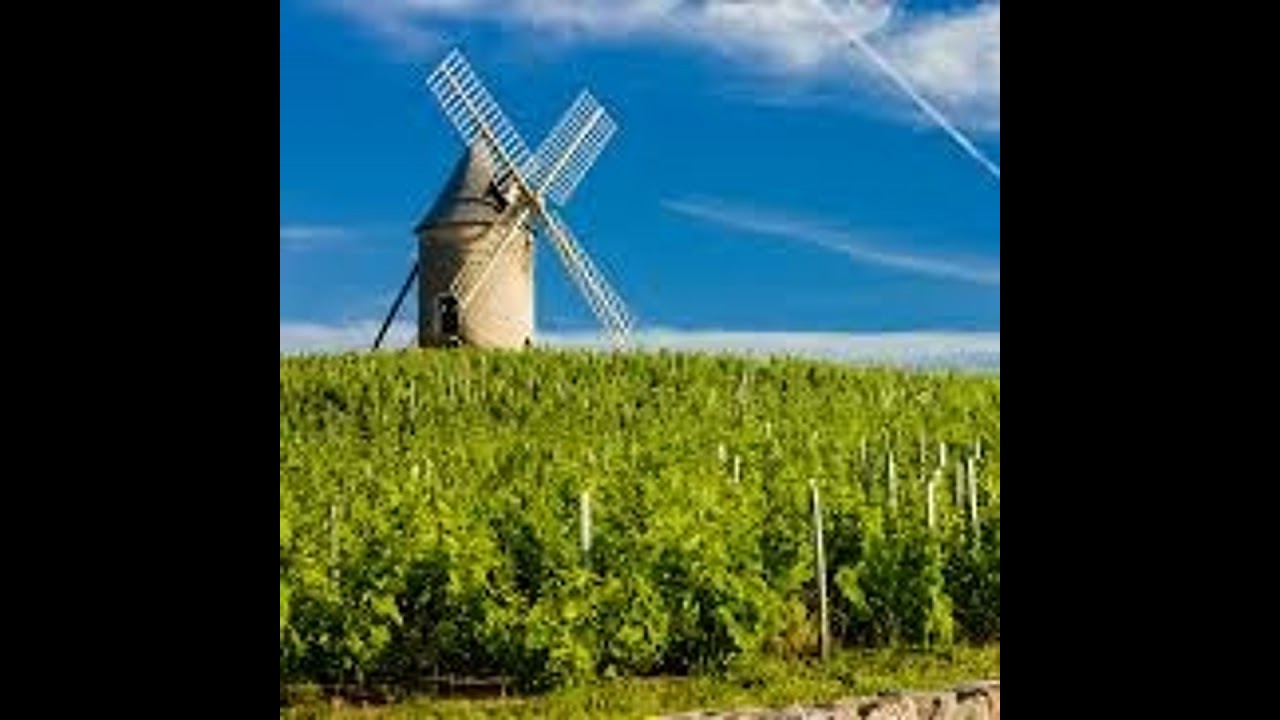 Episode 98-Kim Goes To France, German Pinot Noir