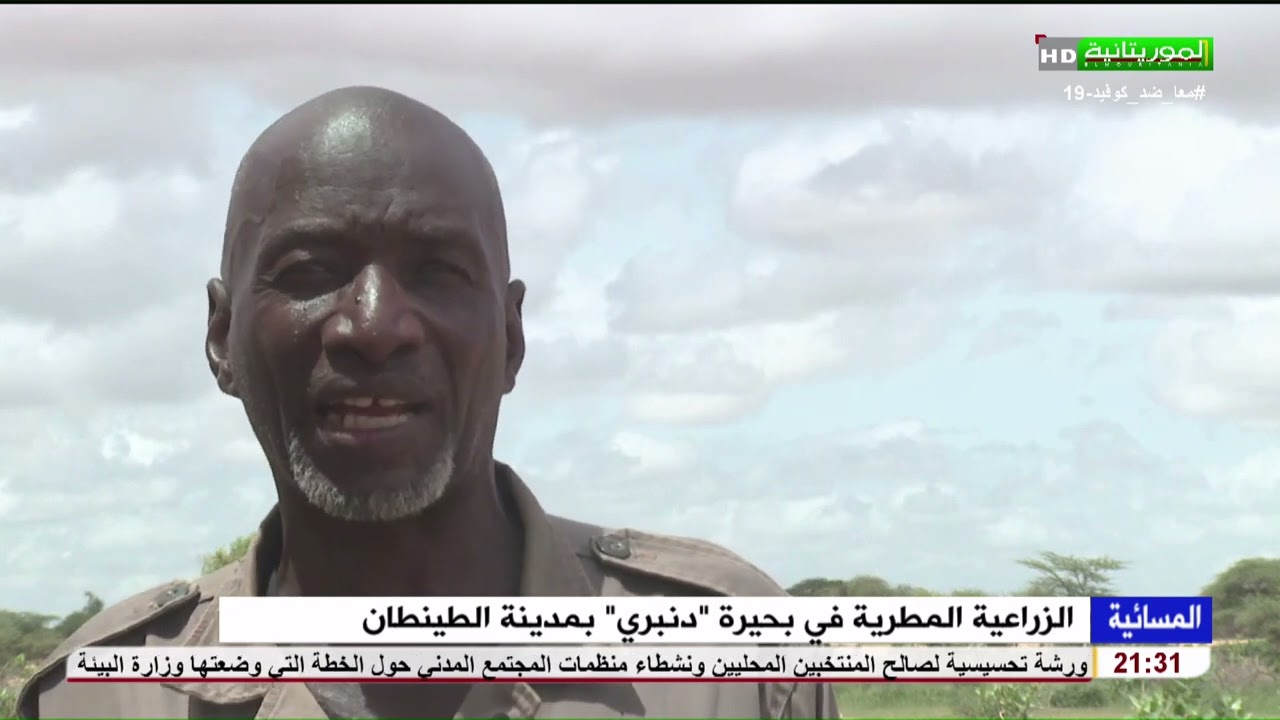 الزراعية المطرية في بحيرة 