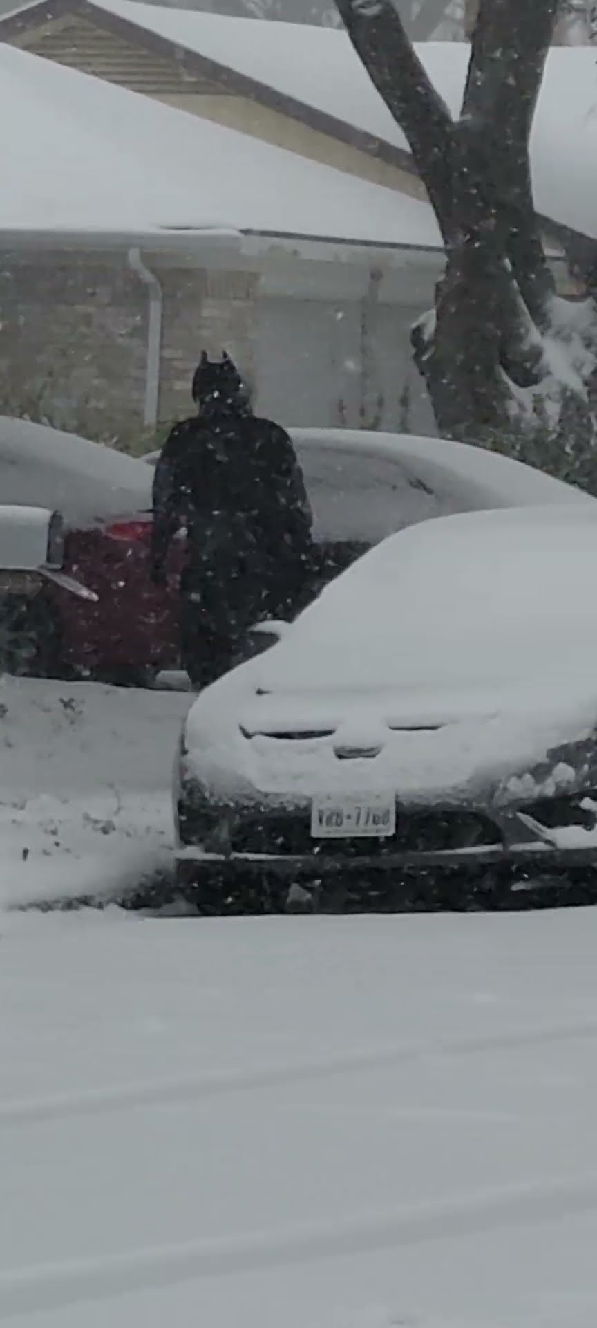 Batman Patrols the Streets After Snow || ViralHog