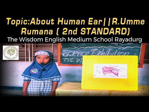 Explain by R.Umme Rumana ( 2nd Standard) Topic: Human Ear The wisdom ...
