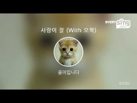 [everysing] 사랑이 잘 (With 오혁)