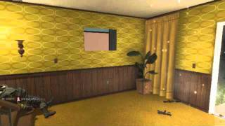 COD: black ops flashbang headshot