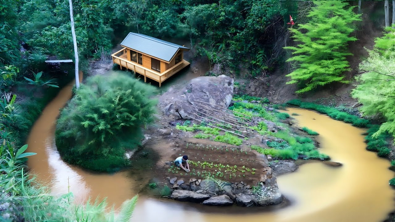 Gardening Fishing: Harvest heirloom cabbage for a flavorful summer