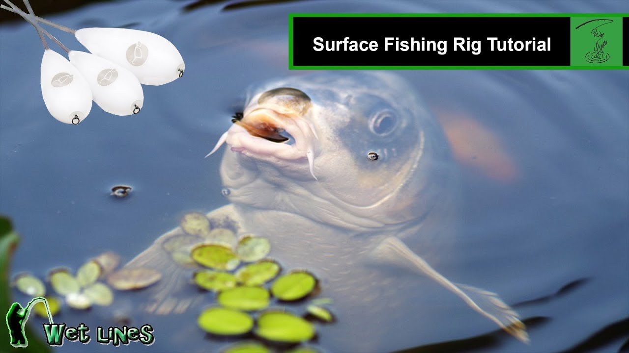 Surface Fishing Rig Tutorial (Korda Surface Controller) 