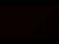ويلي يلا ياقلبي اذا يحبك يجيك عود 