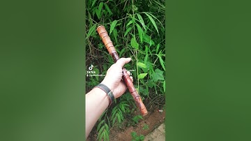 DAO MÈO SỐNG TRÚC 20 SẮP RA MẮT - hàng chuẩn của HTX DAO PHÚC SEN