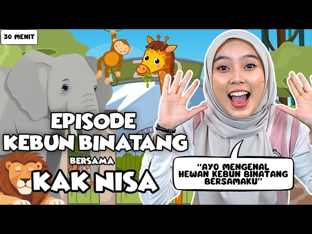 Belajar dan Bermain Episode Hewan Kebun Binatang Untuk Balita - Belajar Kata, Lagu Interaktif Balita class=