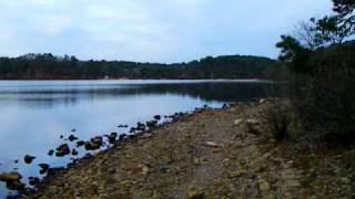 Dry Fly Fishing for Rainbows on Midges- Cape Cod