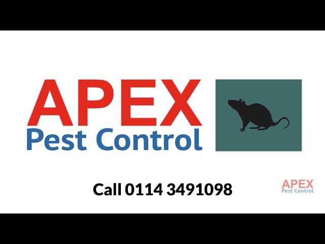 Pest Control Sheffield | Apex Pest Control Local Experts
