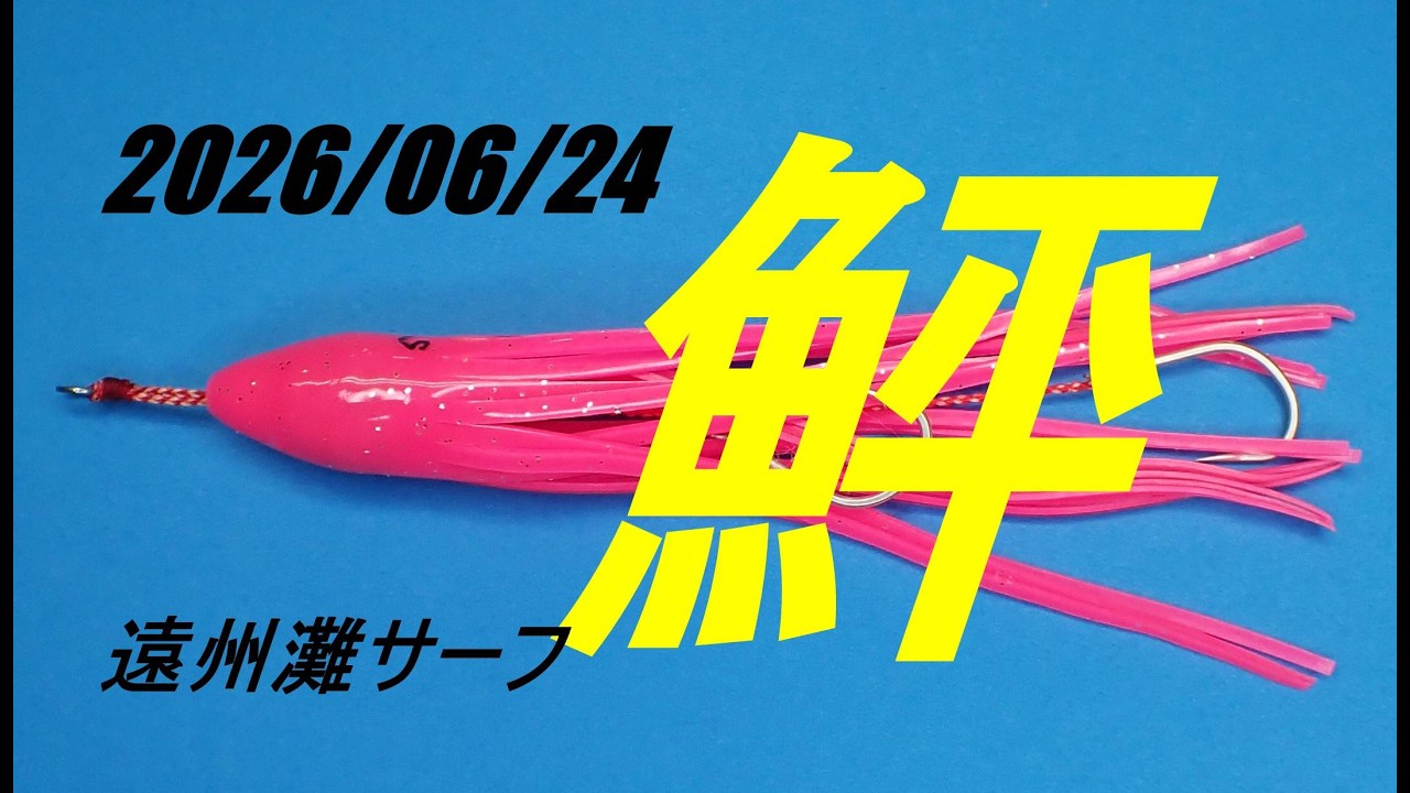 遠州灘サーフでこいつが来た・・2026/06/24 長潮 #釣り #fishing