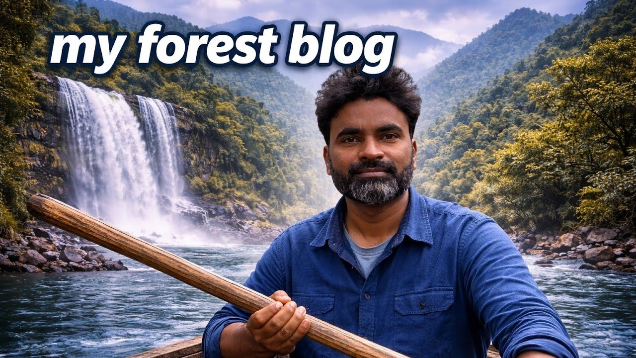 My forest blog #youtubevideos #trending #nature - YouTube