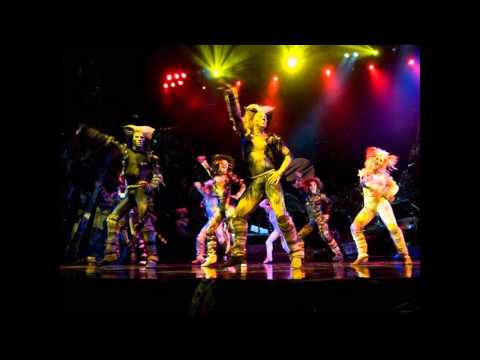 CATS Australian Cast Montage