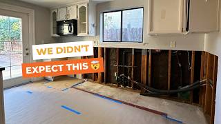 How a Small Leak Caused a Full Kitchen Makeover | Mold Discovery + Reno Demo