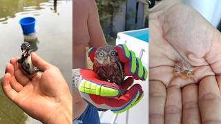 Warm Bird Rescue #rescue #lovestory #animals #birds #love #cute #wildlife #wildliferescue