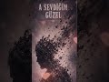 A Sevdiğim Güzel - Esed (Psychedelic Folk Noir / Anadolu Gotik) #türkü #darkfolk #keşfet