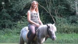 Girl Donkey Riding Small Horse Riding