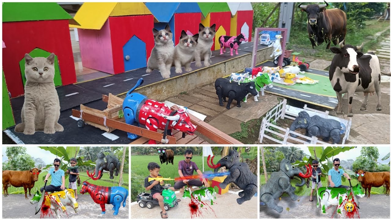 AMAZING 🐄 🐮 SIMULASI WADIDAU 6‼️PROSES POTONG SAPI MOO KURBAN IDUL ADHA