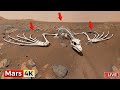 This 360° 4K Mars View Wasn’t Supposed to Be Seen | Perseverance &amp; Curiosity 😨