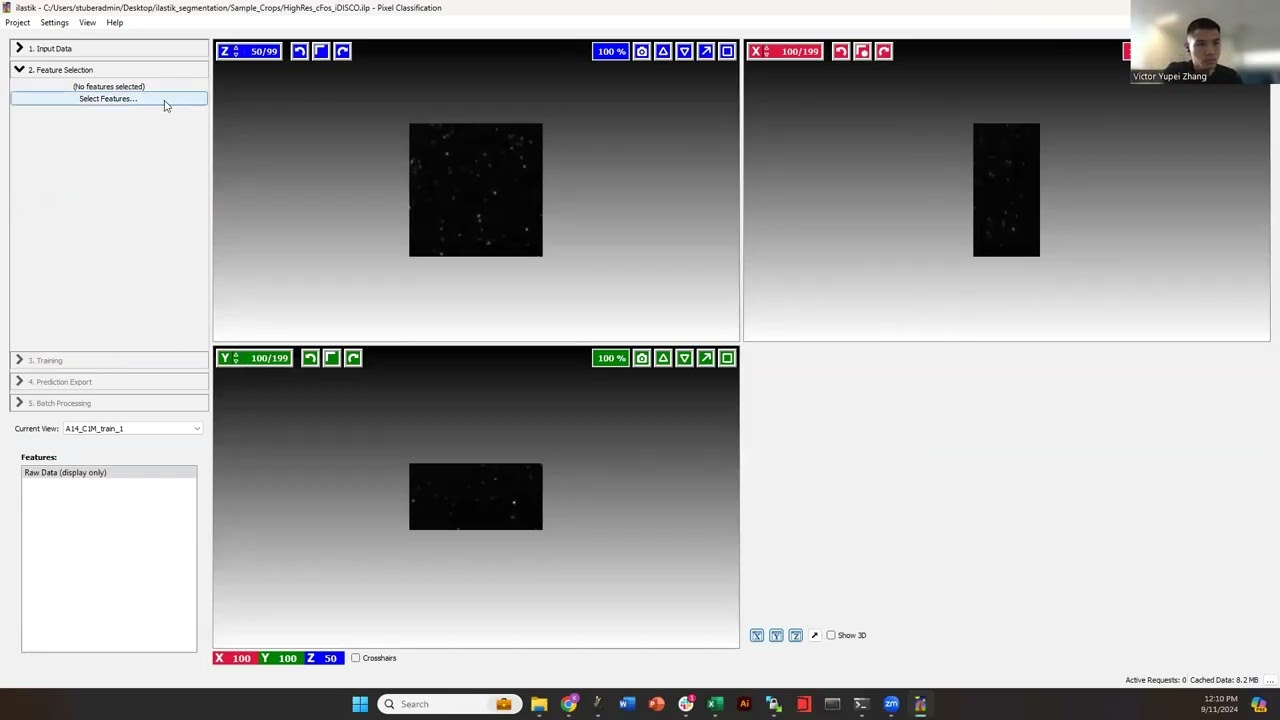 Using Ilastik for cell segmentation