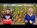 ЭКСКЛЮЗИВ! ВСЁ О ТОМАТНЫХ ГНОМАХ ОТ ОСНОВАТЕЛЯ ПРОЕКТА!